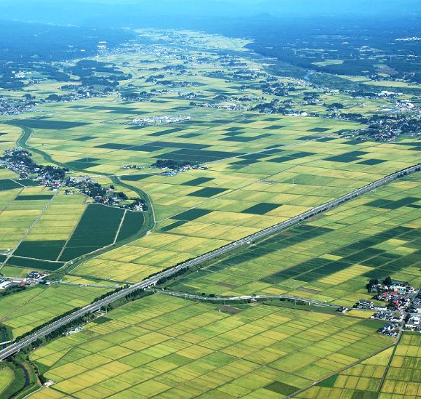 大崎耕土