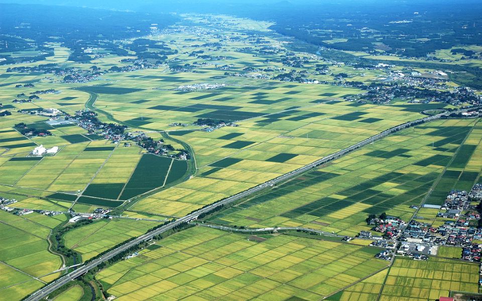 大崎耕土